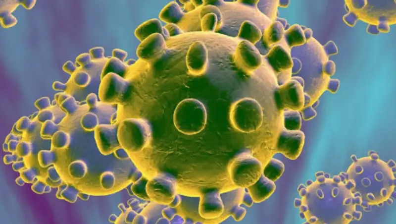 Эпидемиолог оценил вероятность второй крупной вспышки COVID-19 в Китае