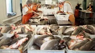 Zakon.kz, фото - Новости Zakon.kz от 05.05.2014 22:20