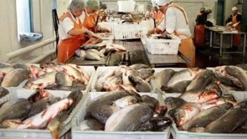 Новый современный рыбный завод появится в Мойынкумском районе