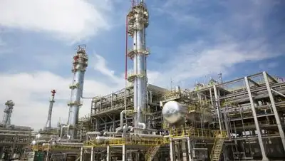 pnhz.kz, фото - Новости Zakon.kz от 08.07.2021 14:51