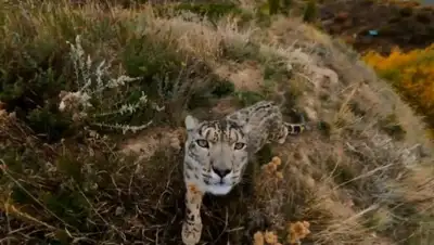 Скриншот видео, фото - Новости Zakon.kz от 14.11.2019 10:52