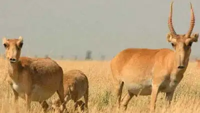 Zakon.kz, фото - Новости Zakon.kz от 13.10.2015 21:11