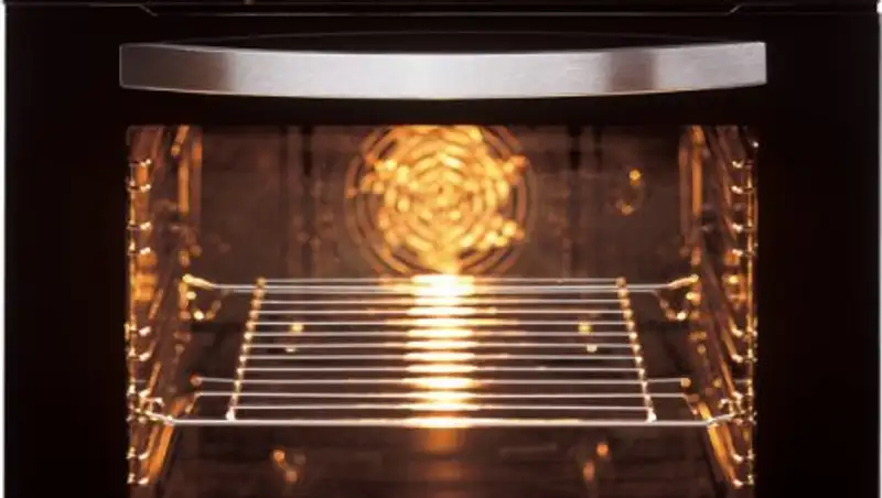 Студенты на вечеринке пожарили кошку в духовке