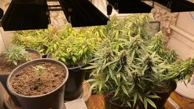 Polisia.kz, фото - Новости Zakon.kz от 20.07.2021 07:34