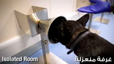 скриншот видео, фото - Новости Zakon.kz от 05.08.2020 15:04