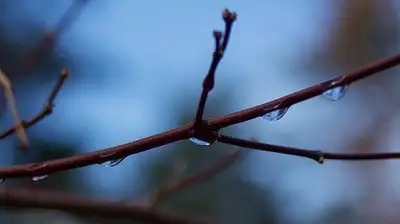 погода, штормовое предупреждение, фото - Новости Zakon.kz от 17.03.2023 19:45