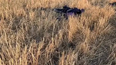 Zakon.kz, фото - Новости Zakon.kz от 29.08.2017 14:19