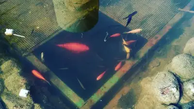 Facebook, фото - Новости Zakon.kz от 11.12.2019 18:22