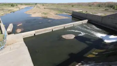 24.kz, фото - Новости Zakon.kz от 25.06.2019 06:26