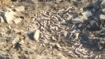 Zakon.kz, фото - Новости Zakon.kz от 06.09.2017 16:42