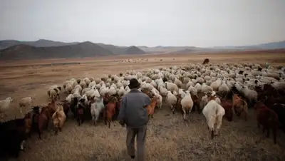 Zakon.kz, фото - Новости Zakon.kz от 23.05.2015 01:59