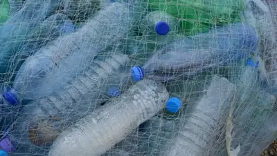 pixabay.com, фото - Новости Zakon.kz от 06.06.2019 15:06