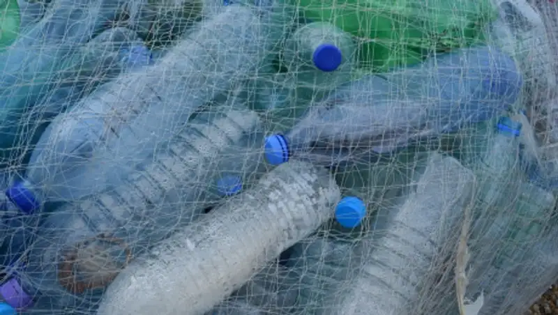 Алматинцев научат правильной сортировке мусора за 3 года