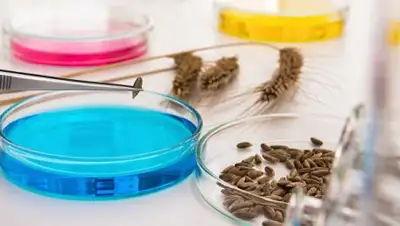 © Fotolia / Alex_Traksel, фото - Новости Zakon.kz от 14.07.2018 11:03