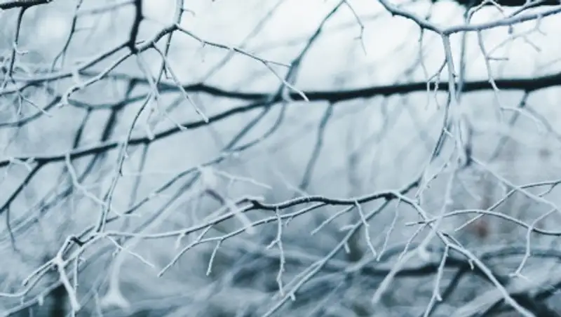 В нескольких регионах Казахстана отменены занятия в школах из-за сильного мороза