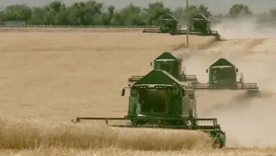 Zakon.kz, фото - Новости Zakon.kz от 11.08.2017 18:26