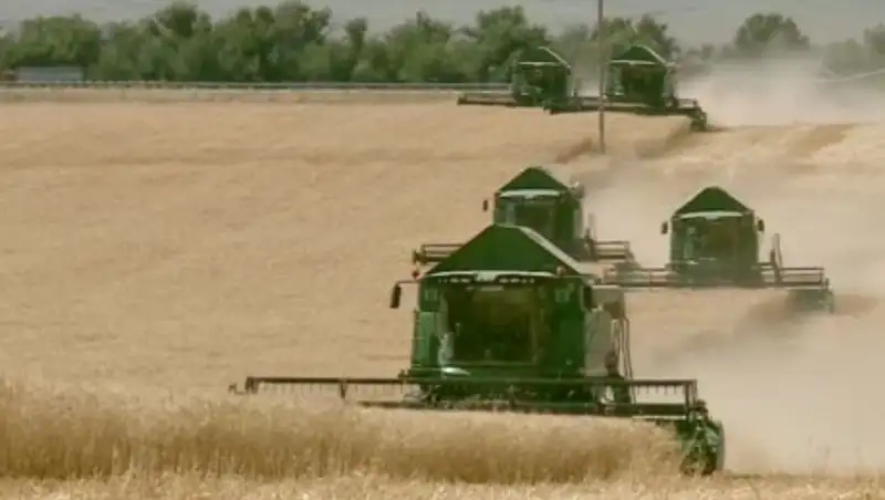 Уборка урожая в Жамбылской области близится  к завершению