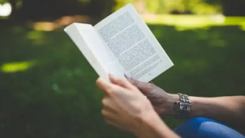 Ввести штрафы за "авторок" и "редакторок" предложили в России