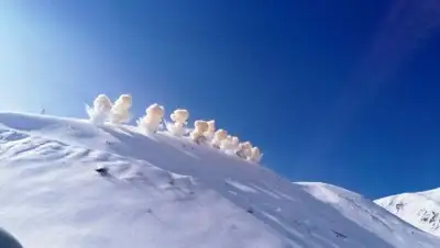 Zakon.kz, фото - Новости Zakon.kz от 02.03.2017 07:24