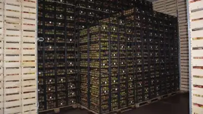 Zakon.kz, фото - Новости Zakon.kz от 20.10.2017 13:52