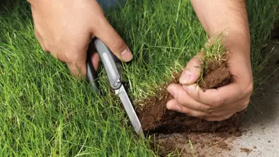 abakan-news.ru, фото - Новости Zakon.kz от 13.09.2019 12:27