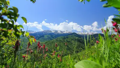 zakon.kz., фото - Новости Zakon.kz от 05.07.2020 06:02