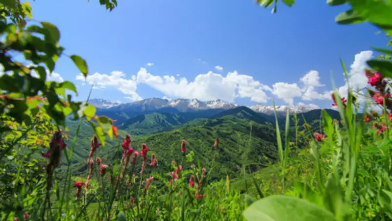 5 июля в РК ожидается погода без осадков