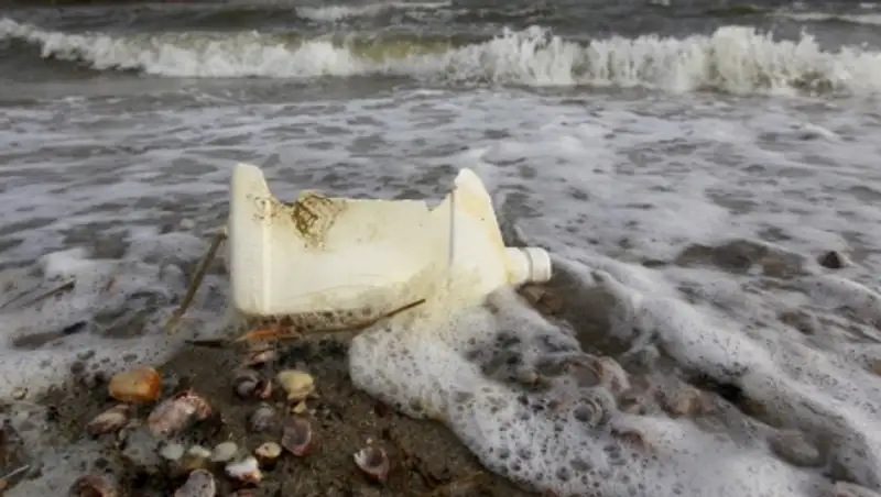 Ученые: в Мировой океан ежегодно попадает 8 млн тонн пластикового мусора