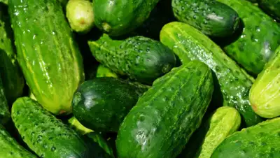 pixabay.com, фото - Новости Zakon.kz от 13.03.2019 12:25