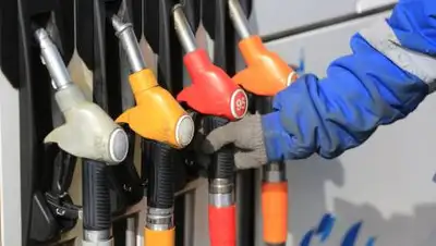 Zakon.kz / Павел Михеев, фото - Новости Zakon.kz от 04.11.2021 18:54