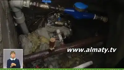 Zakon.kz, фото - Новости Zakon.kz от 08.10.2014 19:13