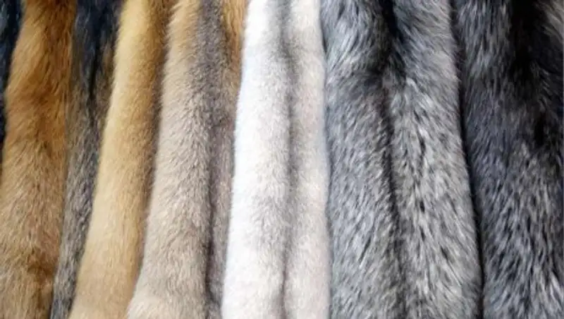 Женщину с 70 шубами задержали на казахстанско-китайской границе