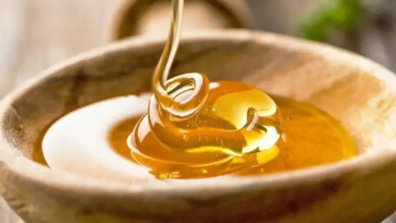 В Костанайской области заключенному пытались передать гашиш в меде