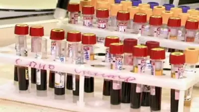 24.kz, фото - Новости Zakon.kz от 03.12.2017 22:56