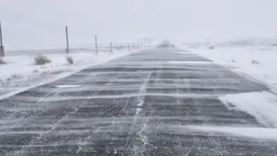 Zakon.kz, фото - Новости Zakon.kz от 04.12.2015 14:02