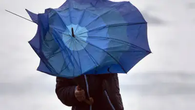 Ivbg.ru, фото - Новости Zakon.kz от 20.05.2020 19:38