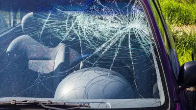 КАСКО, фото - Новости Zakon.kz от 24.02.2020 13:00