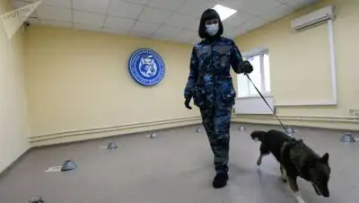 sputnik.kz, фото - Новости Zakon.kz от 10.10.2020 11:16