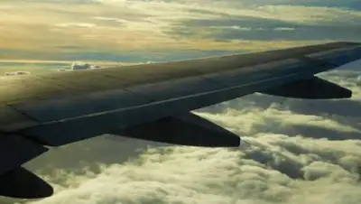 pxhere.com, фото - Новости Zakon.kz от 23.01.2021 14:21