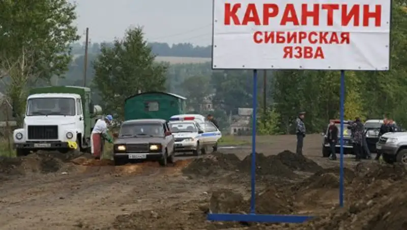 Карантин объявлен в селе Еркиндик из-за сибирской язвы