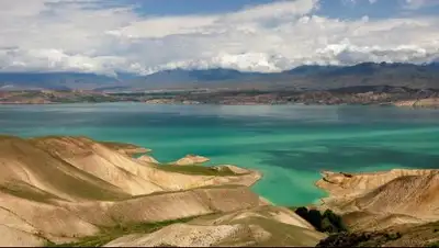 Too.kg, фото - Новости Zakon.kz от 11.02.2019 16:11