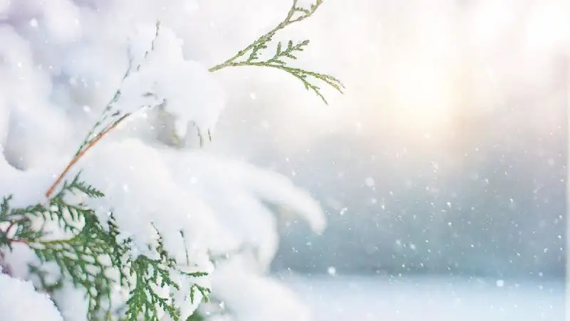 Потепление ожидается в Казахстане в ближайшие три дня