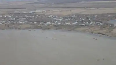 Zakon.kz, фото - Новости Zakon.kz от 22.04.2017 23:37