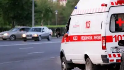 соцсети, фото - Новости Zakon.kz от 07.11.2018 16:47