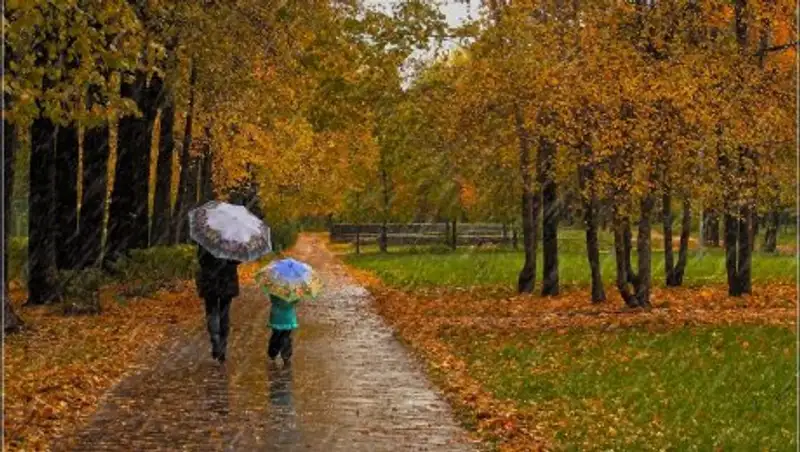 На большей части Казахстана в понедельник возможен дождь