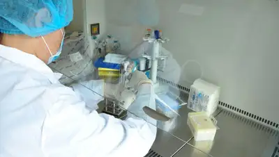 исследование, фото - Новости Zakon.kz от 05.02.2022 22:31