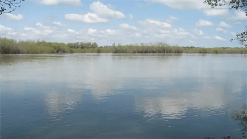 Полицейские ЮКО выловили в Сырдарье тело женщины, фото - Новости Zakon.kz от 09.11.2013 18:03