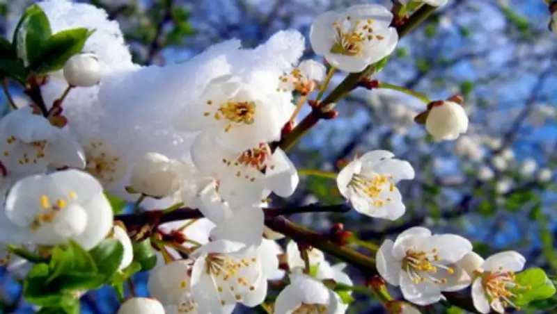 Какая погода ожидает казахстанцев в апреле