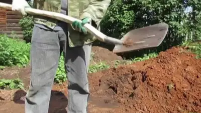 buzday.ru, фото - Новости Zakon.kz от 14.10.2019 15:54