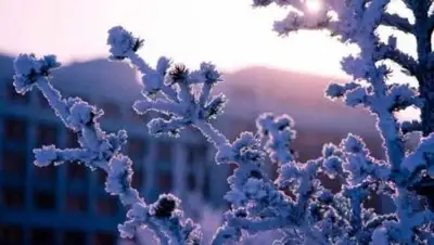 Kaznews.kz, фото - Новости Zakon.kz от 21.02.2018 09:30